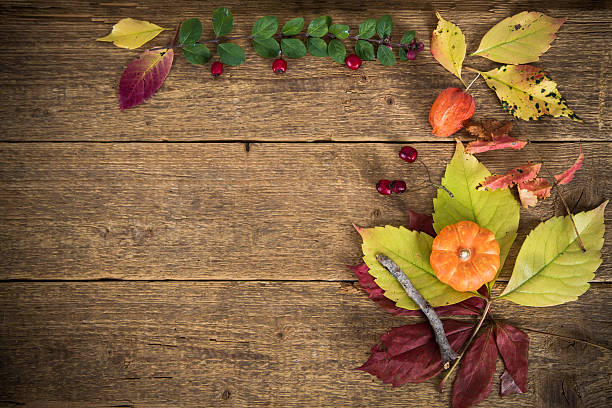 istock background with autumn leaves,pumpkin 613555636