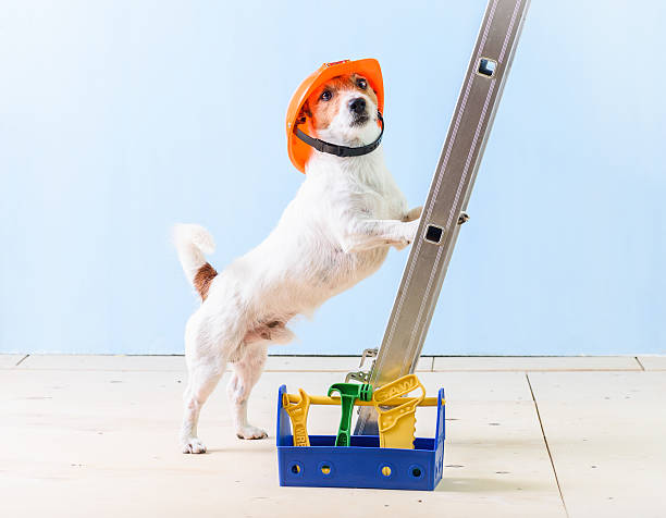 istock Humor worker with box full of tools standing on ladder 613556080