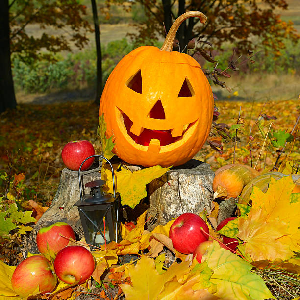 istock pumpkin-head against and autumn forest 613556866