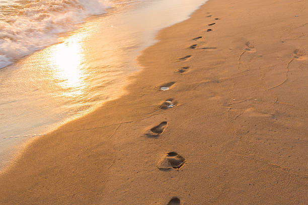 istock Footprints in the Sand reflective  at sunset time 613557578