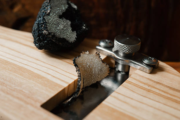 istock mushroom  truffle and  Truffle Slicer 613557842