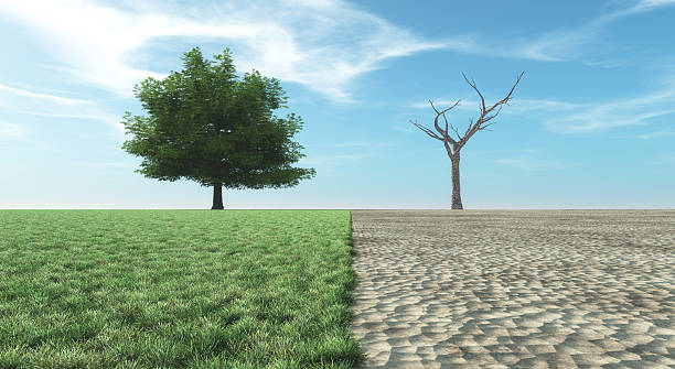 istock Verdant landscape or dry landscape 613558160