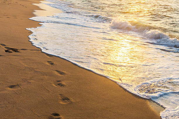 istock Footprints in the Sand reflective  at sunset time 613558812