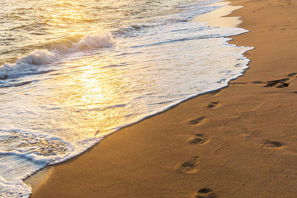 istock Footprints in the Sand reflective  at sunset time 613558914