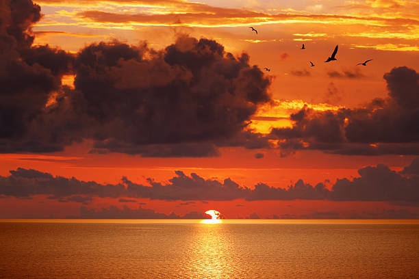 istock Red glowing sunset above serene sea 613560094
