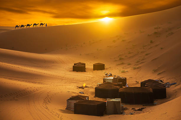 dunes de sable  - Photo