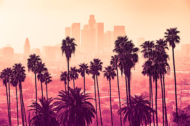 skyline di los angeles con palme in primo piano - global warming smog city pollution foto e immagini stock