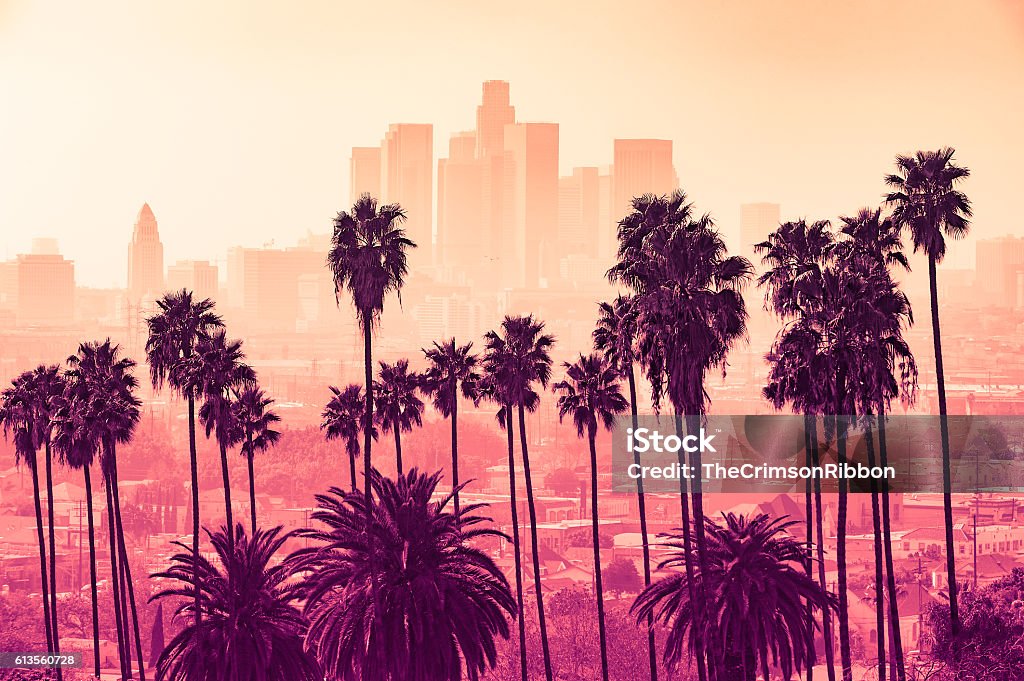 Los Angeles skyline with palm trees in the foreground City Of Los Angeles Stock Photo