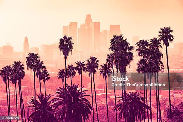 Los Angeles Skyline With Palm Trees In The Foreground Stock Photo - Download Image Now