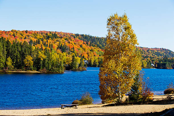 istock Canadian Autumn 613562126