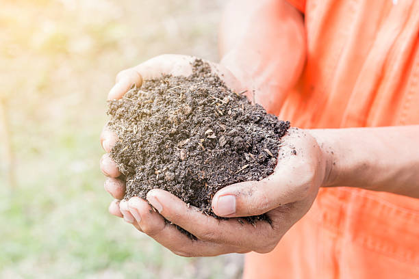 istock hands holding soil in plantation 613649836