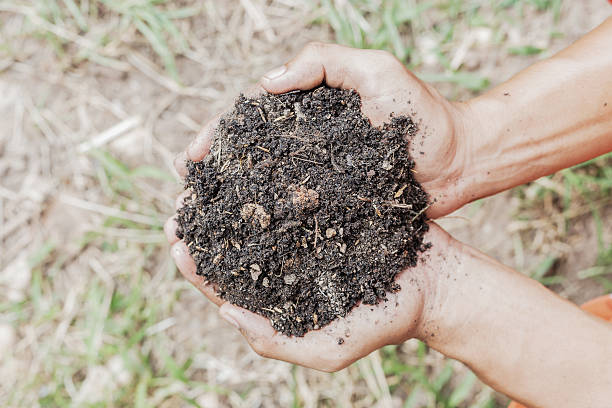 istock hands holding soil in plantation 613649934