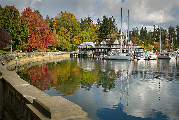 stanley park autumn - vancouver harbor vancouver harbor marina - fotografias e filmes do acervo