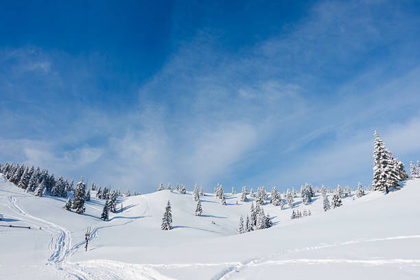 istock Winter Day In The Mountains 613651068