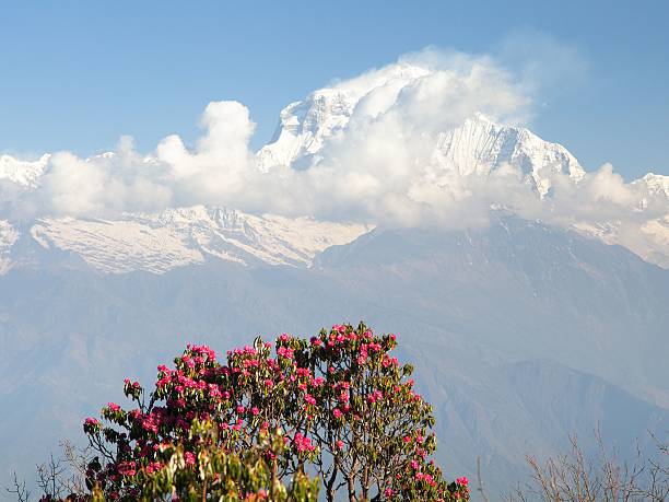 istock Mount Dhaulagiri from Poon Hill view point 613651132