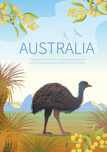 Australian landscape  poster with Emu.  Every  element is located on a separate layer. Images is cropped with Clipping Mask. Easy to edit