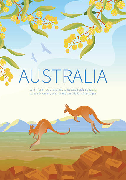 ilustrações de stock, clip art, desenhos animados e ícones de australian landscape  poster with two kangaroos. - australian animals