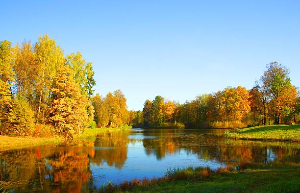 istock Autumn landscape in Alexander Park 613653654