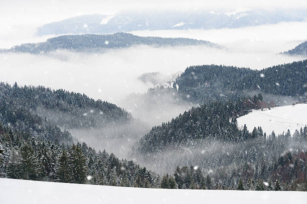 Snow falling on winter morning