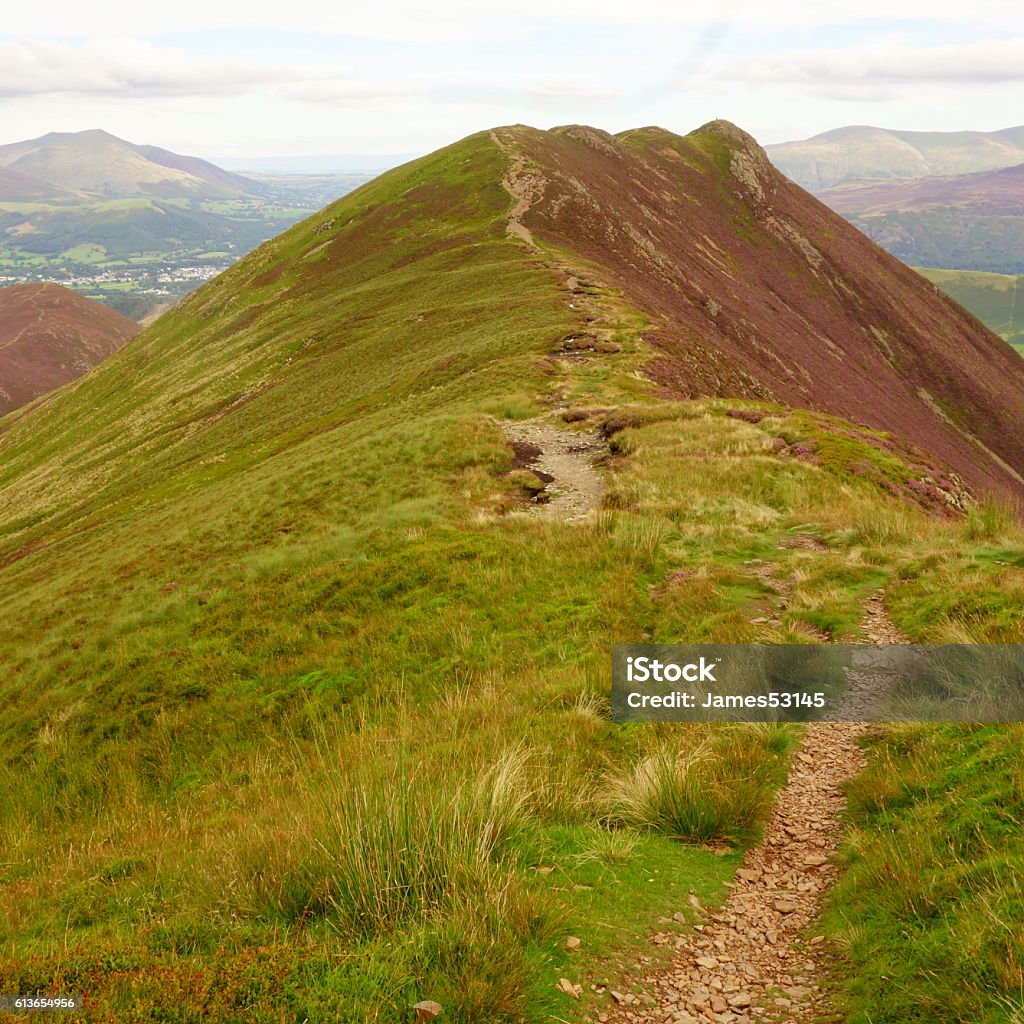 Causey Pike Path leading to Causey Pike with purple heather covered slopes, Lake District, Cumbria, England, UK  Causey Pike Stock Photo
