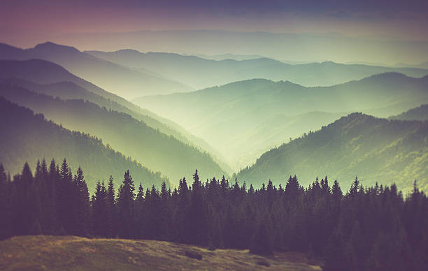 Misty summer mountain hills landscape. stock photo