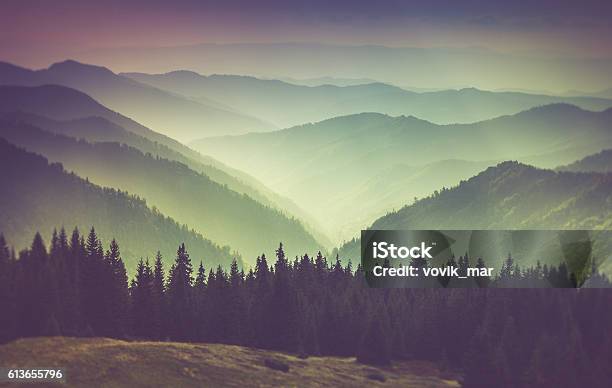 Misty Summer Mountain Hills Landscape Stock Photo - Download Image Now - Fog, Mountain, Forest