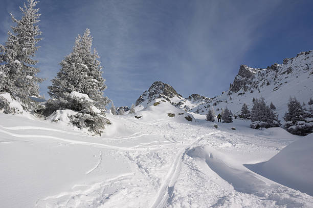 istock Winter Landscape with Snow and Trees 613656178