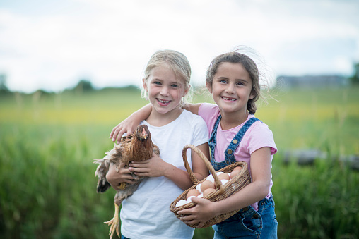Two elementary age girls are standing together in a grassy field. They are holding a chicken and a basket of eggs.
