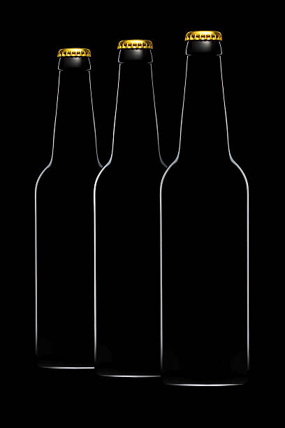 istock Set of beer bottles isolated on black background 613657586