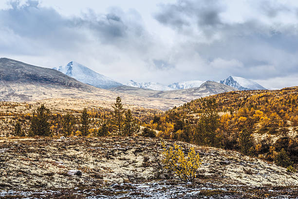 istock Autumn colors in the norwegian mountains. 613659686