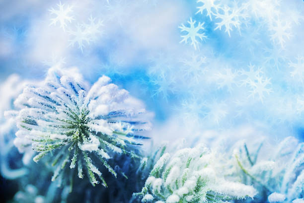 istock Close up of Xmas tree over abstract holiday background 613661778