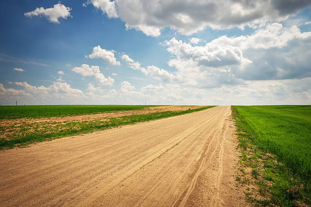 istock Beautiful landscape with road, green fields and blue cloudy sky 613661974