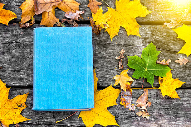 istock The book  on the old wooden table 613665070