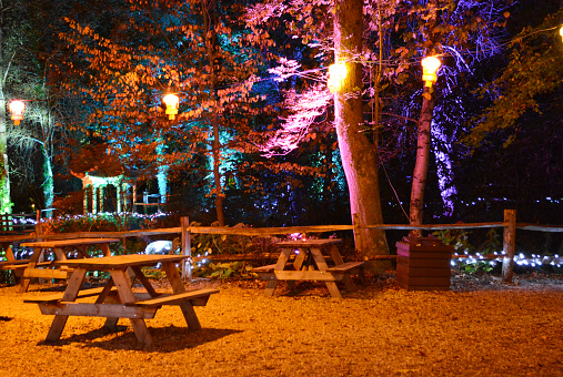 Illuminated clearing in the forest and seating to celebrate the Diwali Festival of Lights.