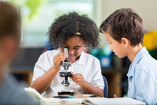 istock Curious African American schoolgirl uses microscope 613666160