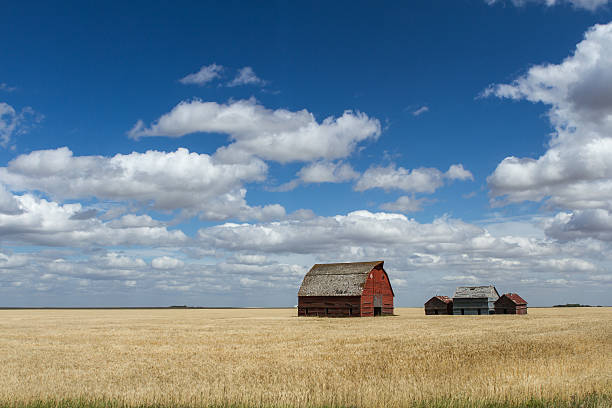 istock Canadian Prairies 613667474