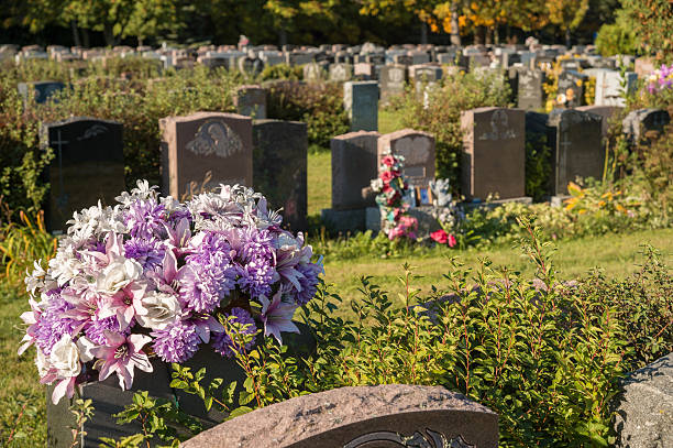 istock Flowers in a cemetery with headstones 613669864