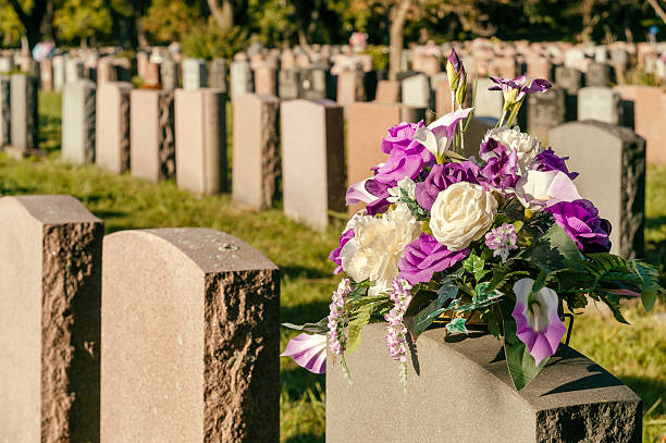 istock Flowers in a cemetery with headstones 613669924