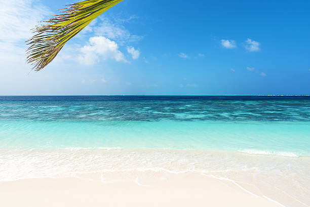 istock Sandy beach and tropical sea 613669998