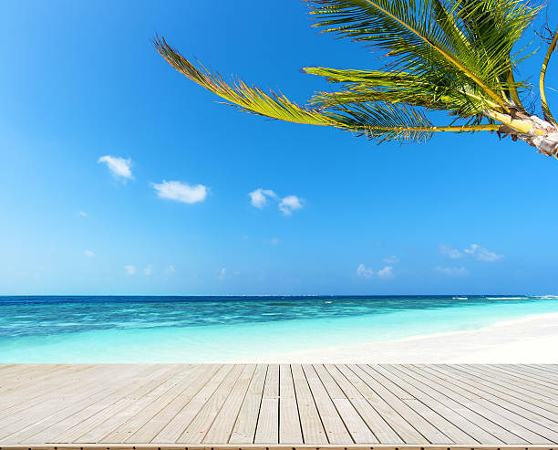 istock Wooden footbridge on the tropical beach 613672012