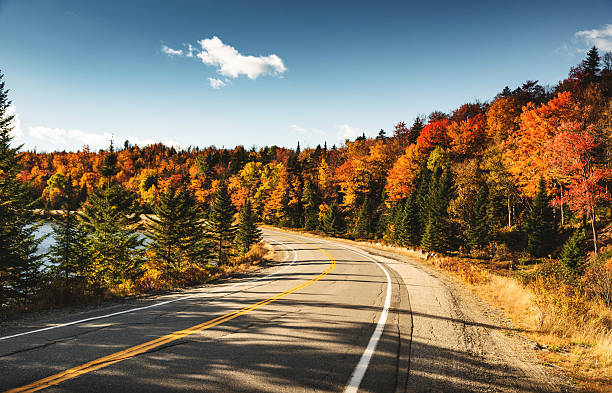 strada tortuosa nel maine - parco nazionale acadia foto e immagini stock