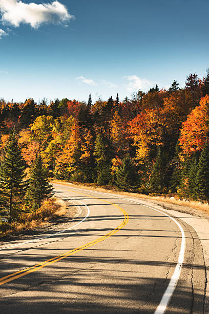 istock winding road in Maine 613672370