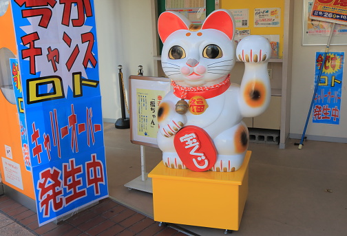 Kanazawa Japan - October 7, 2016: Japanese Manekineko Lucky cat stature in front of lottery outlet in Kanazawa Japan