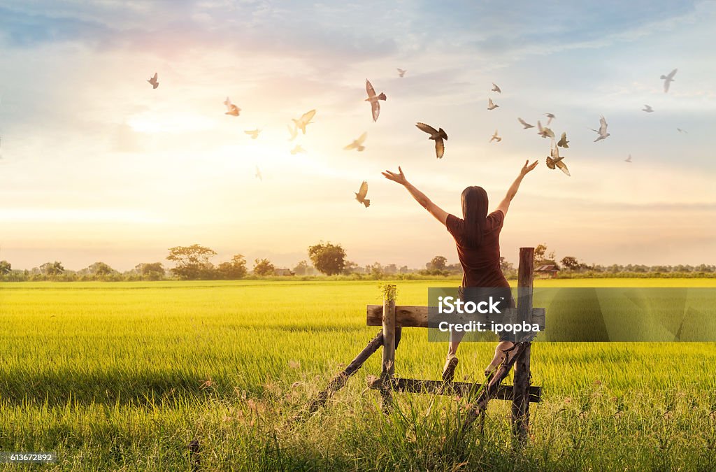 Mujer libre disfrutando de medida y aves naturaleza en la puesta de sol de fondo - Foto de stock de Pájaro libre de derechos