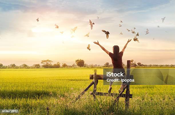 Mujer Libre Disfrutando De Medida Y Aves Naturaleza En La Puesta De Sol De Fondo Foto de stock y más banco de imágenes de Pájaro