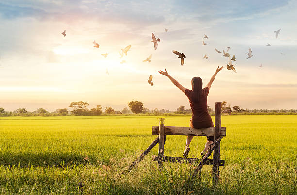 woman 差すと無料の鳥の自然を背景に沈む夕日をお楽しみいただけます。 - religion spirituality serene people tranquil scene ストックフォトと画像