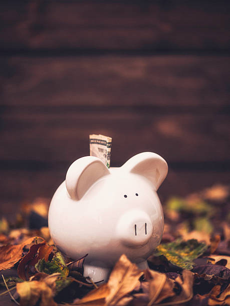 istock Piggy bank standing in fall leaves. Fall savings concept 613674352