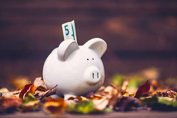 istock Piggy bank standing in fall leaves. Fall savings concept 613674372