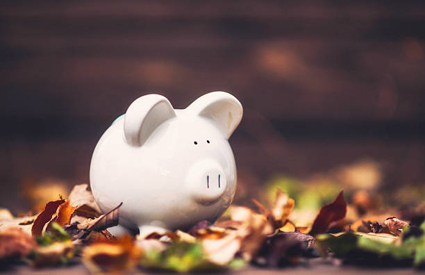 Piggy bank standing in fall leaves. Fall savings concept