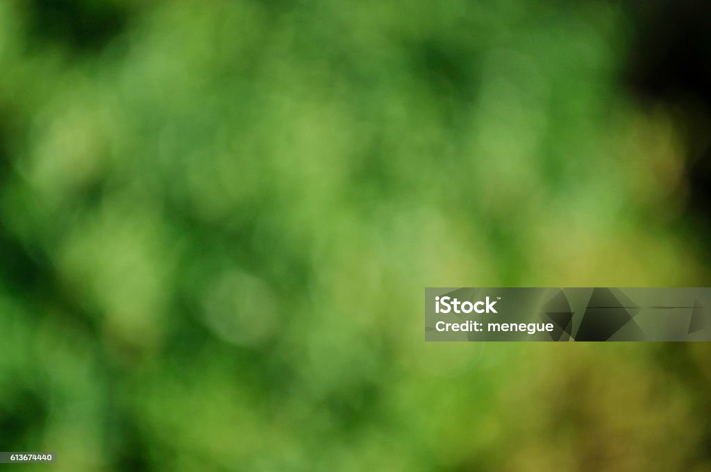 Green Defocus Green leaves with soft focus Backgrounds Stock Photo